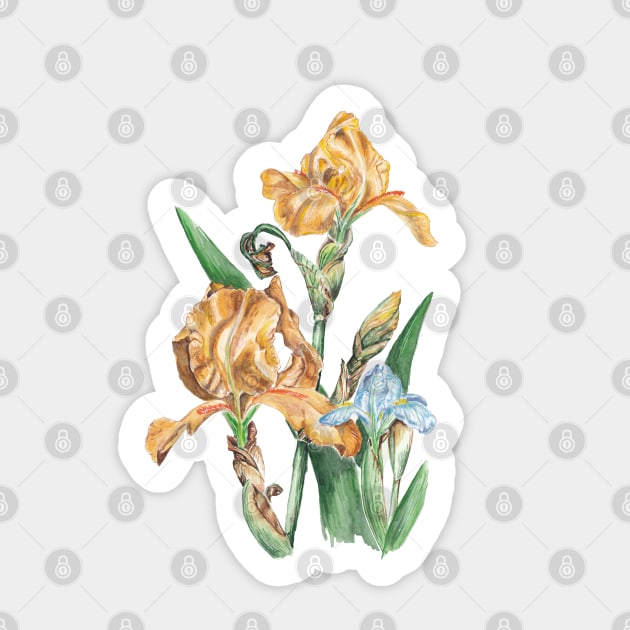 Iris Sticker by feafox92